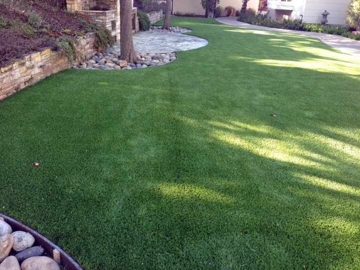 Installing Artificial Grass Lemitar, New Mexico Garden Ideas, Backyard Landscaping