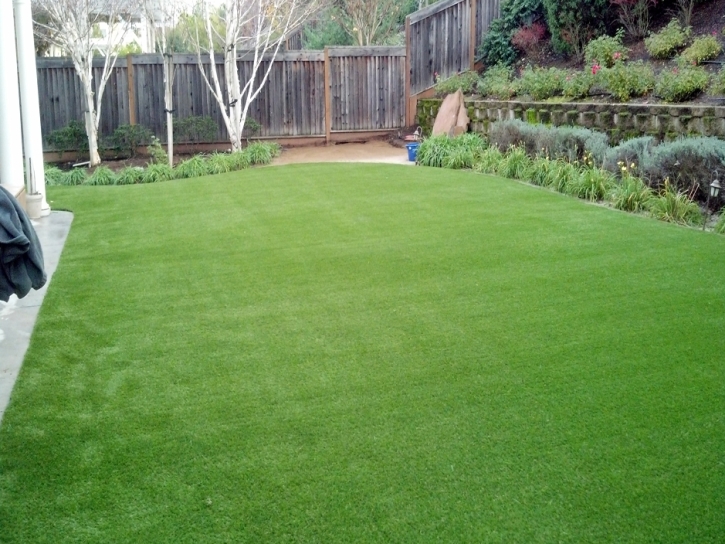 Installing Artificial Grass Spencerville, New Mexico Rooftop, Beautiful Backyards