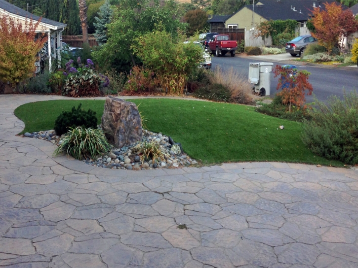 Outdoor Carpet Cundiyo, New Mexico Lawn And Landscape, Front Yard