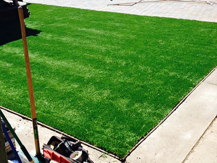 Outdoor Carpet Folsom, New Mexico Lawn And Garden