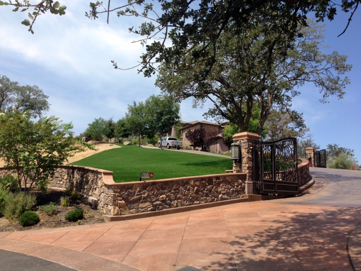 Outdoor Carpet Manzano, New Mexico Lawn And Garden, Front Yard Design