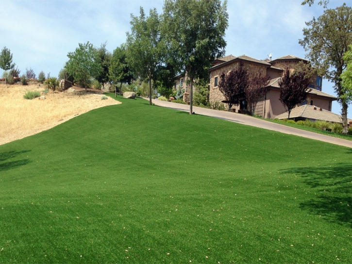 Outdoor Carpet Tecolote, New Mexico Landscape Photos, Front Yard Design