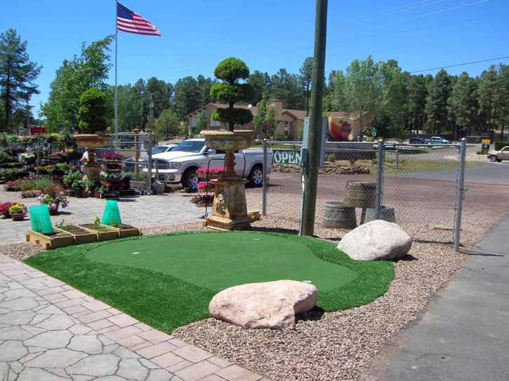 Outdoor Carpet Wagon Mound, New Mexico Indoor Putting Green, Commercial Landscape