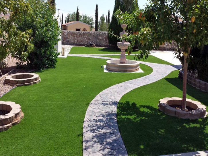 Plastic Grass Boles Acres, New Mexico City Landscape, Backyard Design