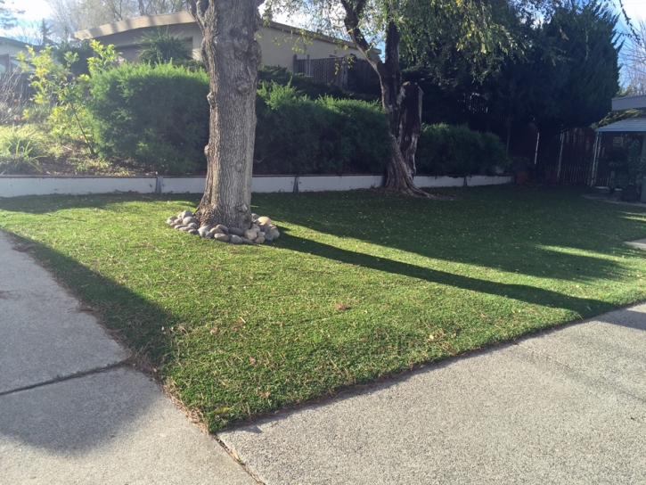 Plastic Grass Cobre, New Mexico Lawn And Landscape, Front Yard