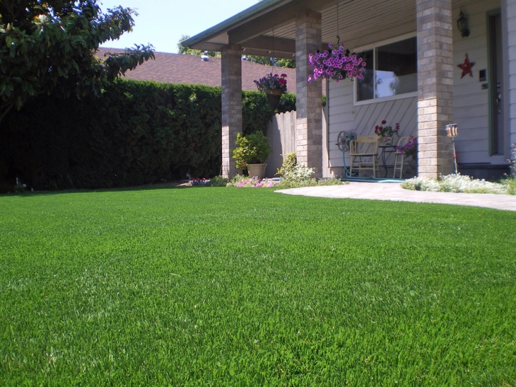 Plastic Grass Eagle Nest, New Mexico Landscape Design, Front Yard Landscaping Ideas