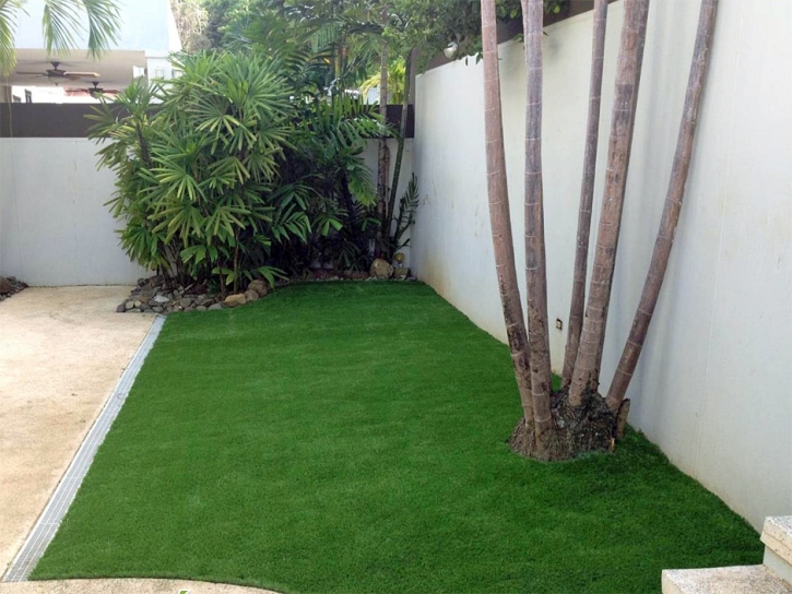 Plastic Grass Los Lunas, New Mexico Home And Garden, Small Backyard Ideas