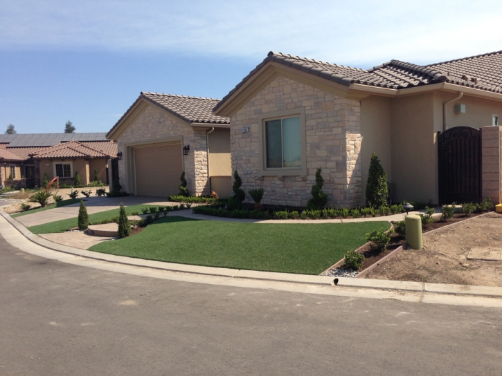 Plastic Grass Ponderosa, New Mexico Landscape Design, Landscaping Ideas For Front Yard