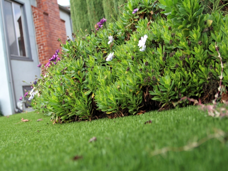 Plastic Grass Questa, New Mexico City Landscape, Landscaping Ideas For Front Yard