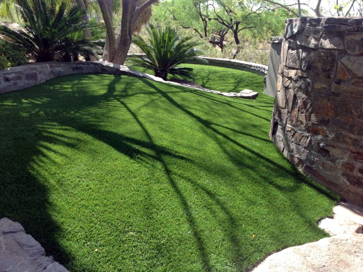 Synthetic Grass Cochiti Lake, New Mexico Landscape Photos