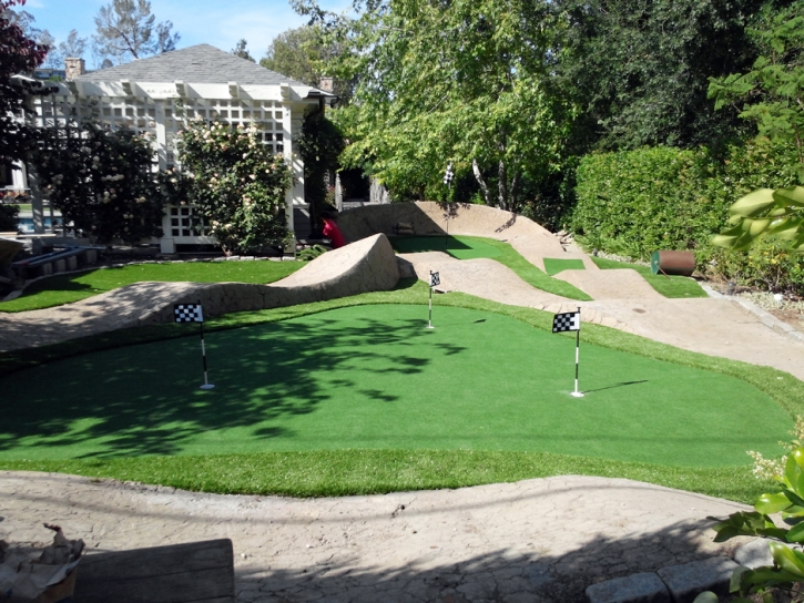 Synthetic Grass Corrales, New Mexico Rooftop, Backyard Designs