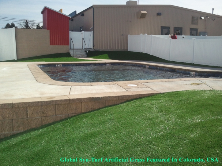 Synthetic Grass Cost Cedro, New Mexico Home And Garden, Swimming Pool Designs