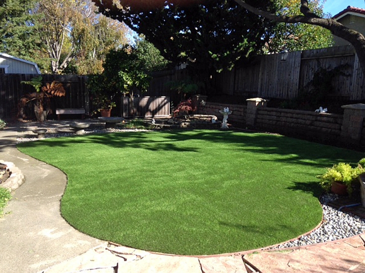 Synthetic Grass Cost Elida, New Mexico Garden Ideas, Backyard Landscaping Ideas