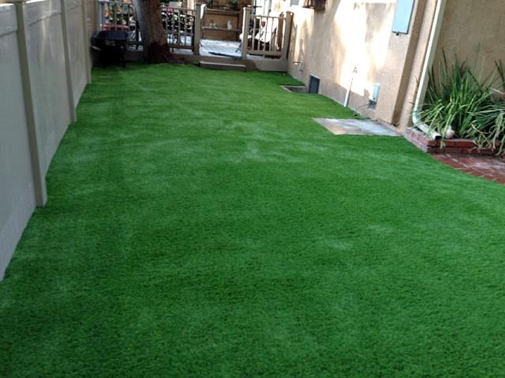 Synthetic Grass Cost Nogal, New Mexico Gardeners, Backyard Design