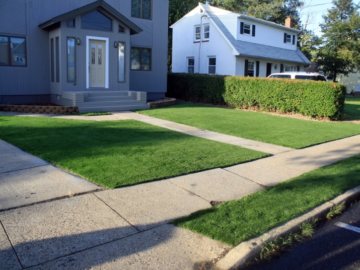 Synthetic Grass Cost San Jose, New Mexico Landscape Ideas, Front Yard Landscape Ideas