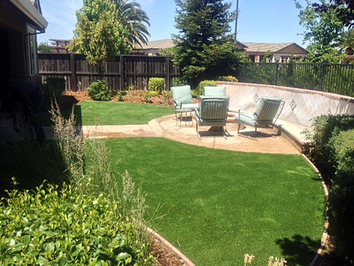 Synthetic Grass Cost Santa Teresa, New Mexico Landscape Photos, Backyard Ideas