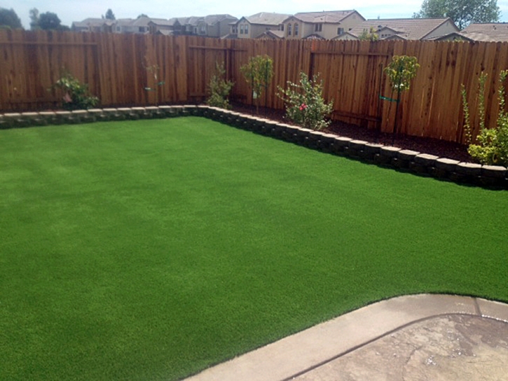 Synthetic Grass Cost Socorro, New Mexico Design Ideas, Small Backyard Ideas