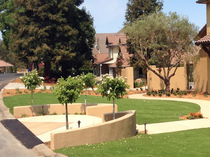 Synthetic Grass Fairacres, New Mexico City Landscape, Front Yard Landscaping