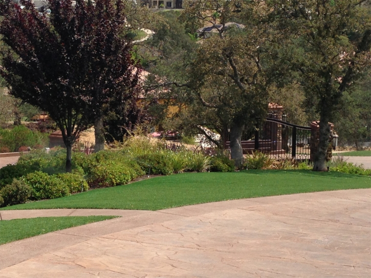 Synthetic Grass Portales, New Mexico Landscaping Business, Backyards