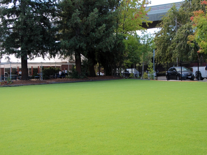 Synthetic Grass Pueblo of Sandia Village, New Mexico Backyard Playground, Commercial Landscape