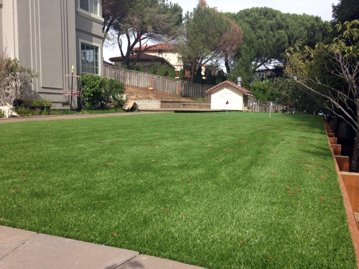 Synthetic Grass Santa Ana Pueblo, New Mexico City Landscape, Backyard