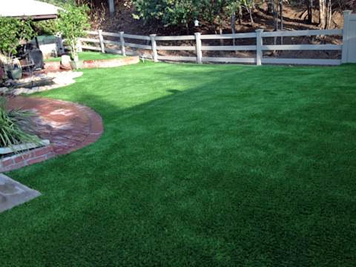 Synthetic Lawn Brazos, New Mexico Dog Hospital, Backyard Designs