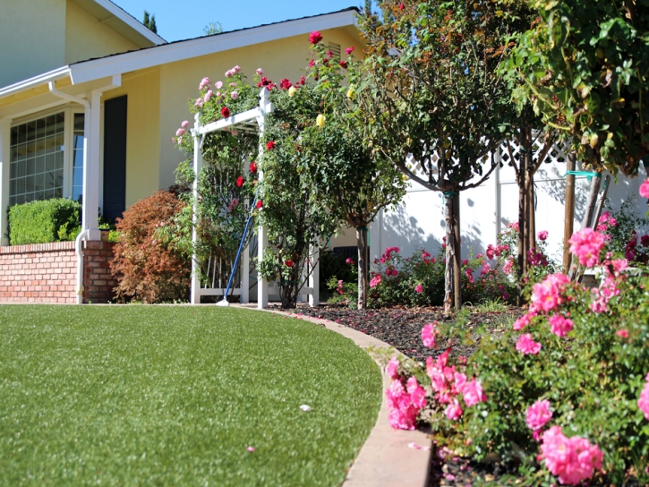 Synthetic Lawn Isleta Village Proper, New Mexico City Landscape, Small Front Yard Landscaping