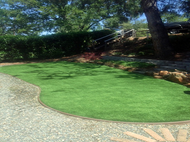 Synthetic Lawn Magdalena, New Mexico Backyard Deck Ideas, Backyard Design