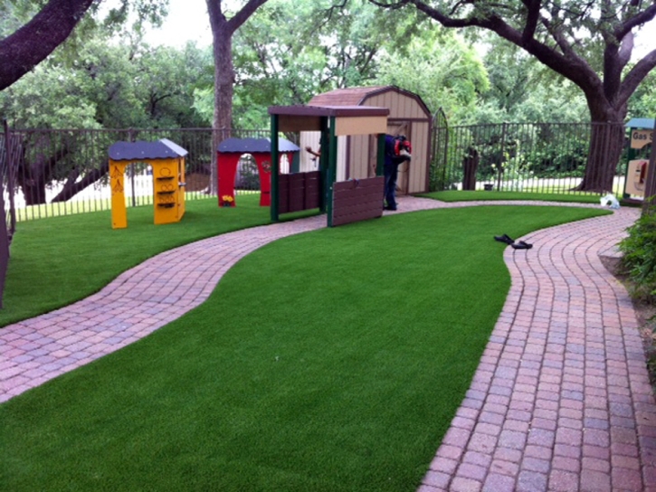 Synthetic Lawn Tesuque, New Mexico Landscape Design, Commercial Landscape