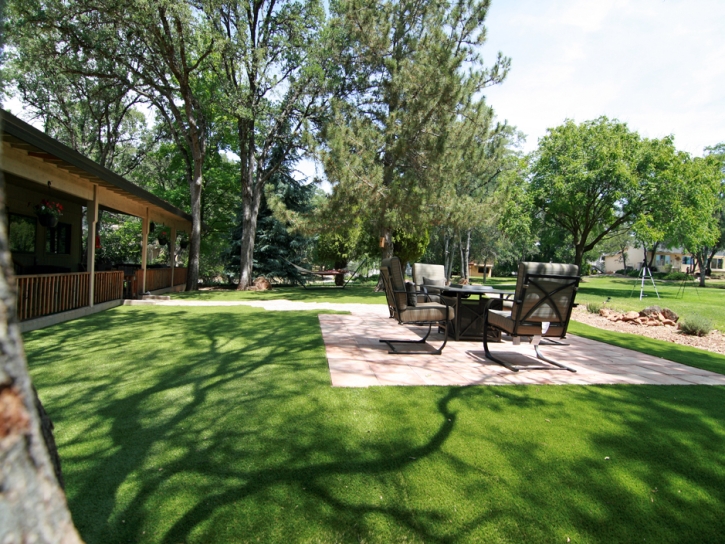 Synthetic Turf Bibo, New Mexico Lawn And Garden, Backyard Landscaping Ideas