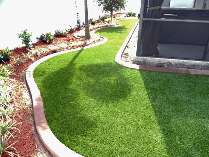 Synthetic Turf Bloomfield, New Mexico Design Ideas, Backyards