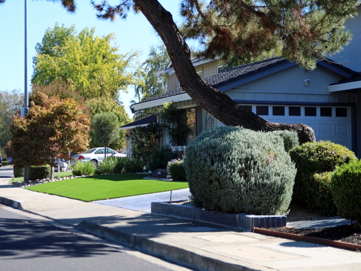 Synthetic Turf Chical, New Mexico Design Ideas, Front Yard