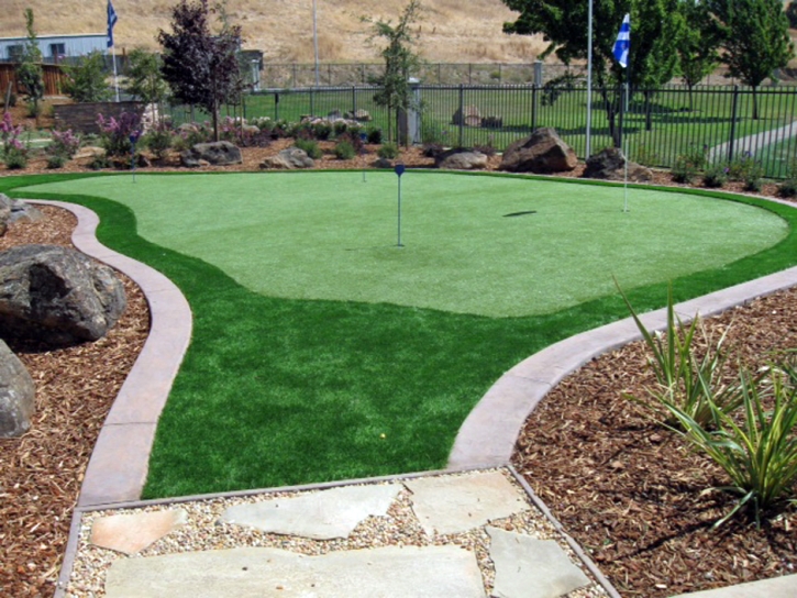 Synthetic Turf Hurley, New Mexico Garden Ideas, Beautiful Backyards