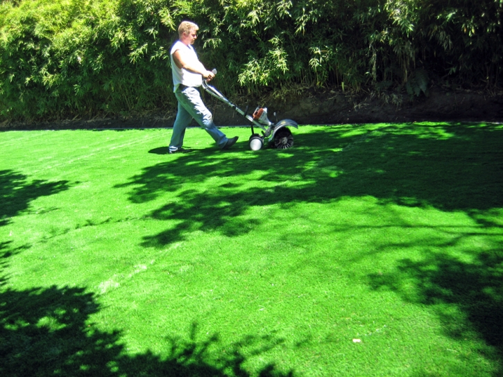 Synthetic Turf La Joya, New Mexico Landscaping Business, Backyard Makeover