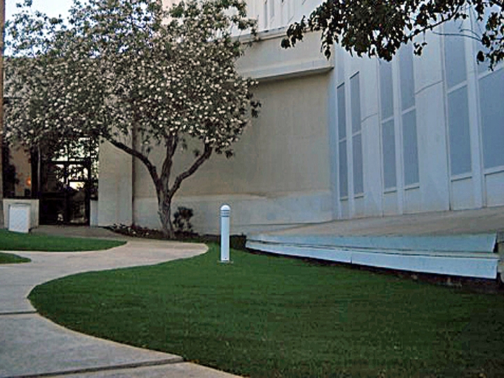 Synthetic Turf Paguate, New Mexico Rooftop, Front Yard