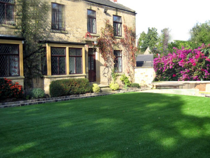 Synthetic Turf Pastura, New Mexico Landscaping Business, Front Yard Ideas