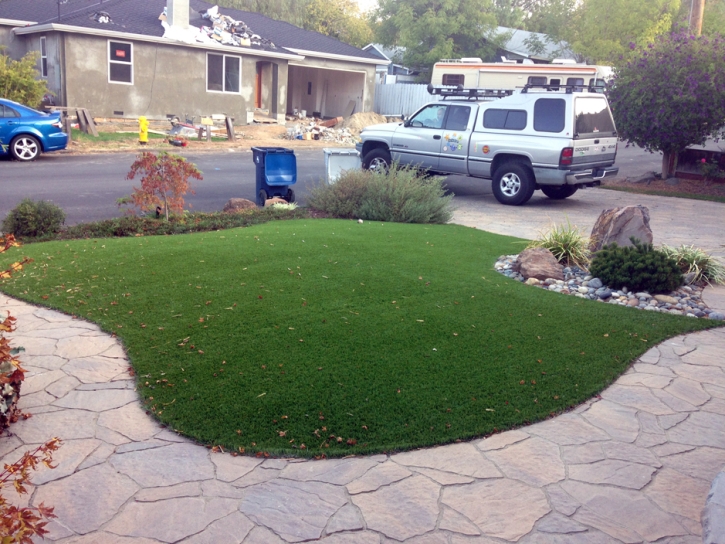 Synthetic Turf Rio En Medio, New Mexico Roof Top, Front Yard Landscape Ideas