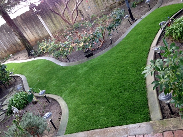 Synthetic Turf San Jon, New Mexico Gardeners, Backyard Ideas