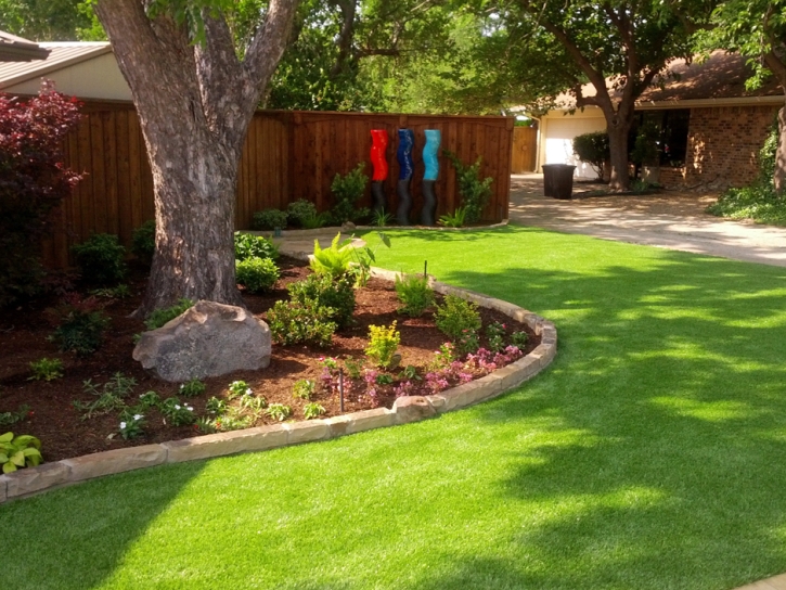 Synthetic Turf Supplier Aragon, New Mexico Landscape Rock, Backyard