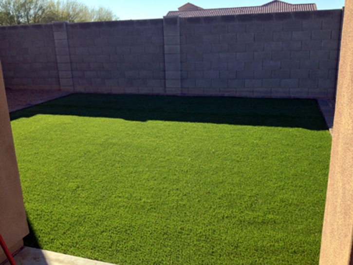 Synthetic Turf Supplier Mescalero, New Mexico Home And Garden, Backyard Garden Ideas