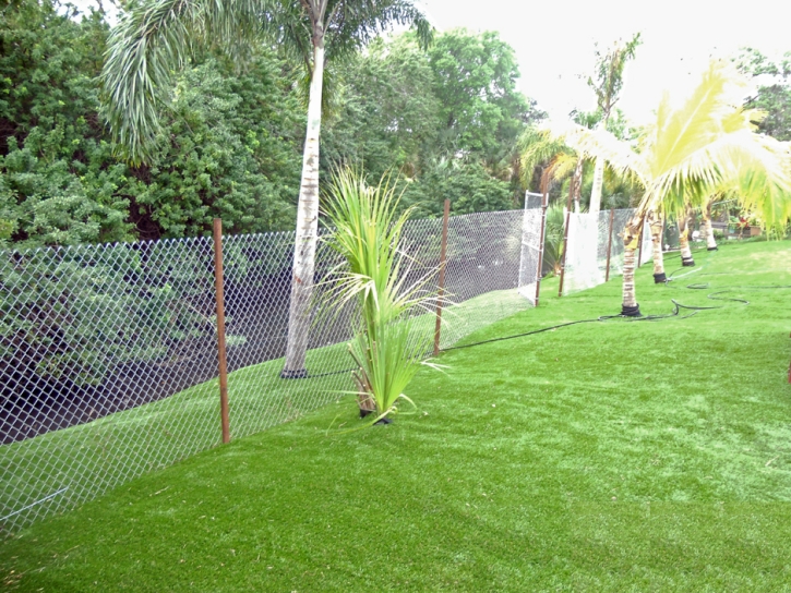 Synthetic Turf Supplier Newkirk, New Mexico Design Ideas, Backyard Makeover