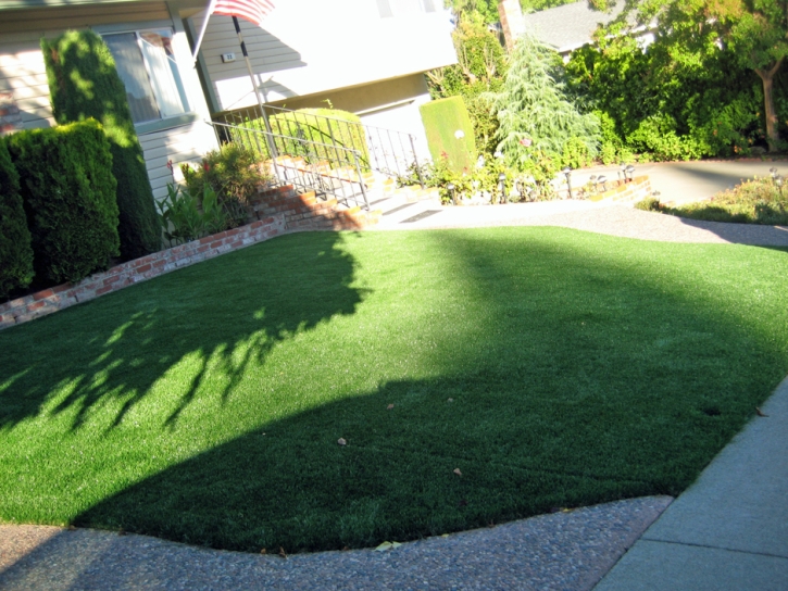 Synthetic Turf Supplier North Acomita Village, New Mexico Paver Patio, Small Front Yard Landscaping