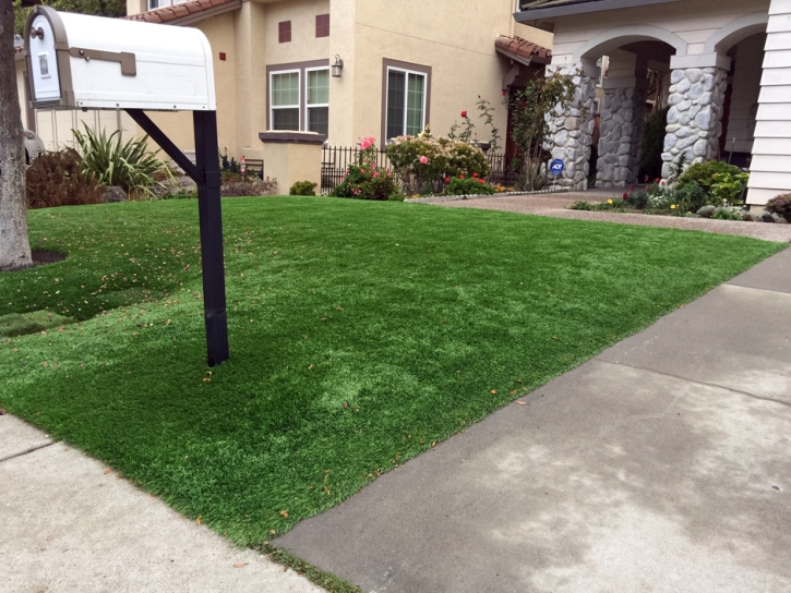 Synthetic Turf Supplier Rock Springs, New Mexico Landscape Photos, Small Front Yard Landscaping