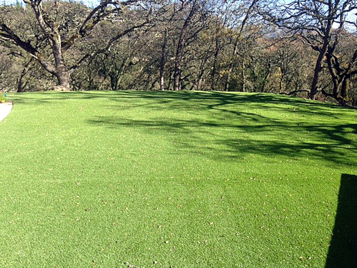 Synthetic Turf Supplier Silver City, New Mexico Lawn And Garden, Recreational Areas