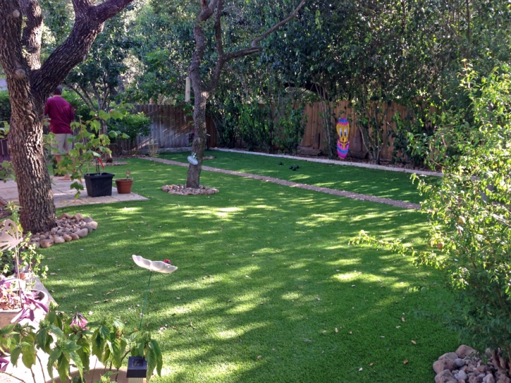 Synthetic Turf Weed, New Mexico Lawn And Landscape, Backyard Garden Ideas