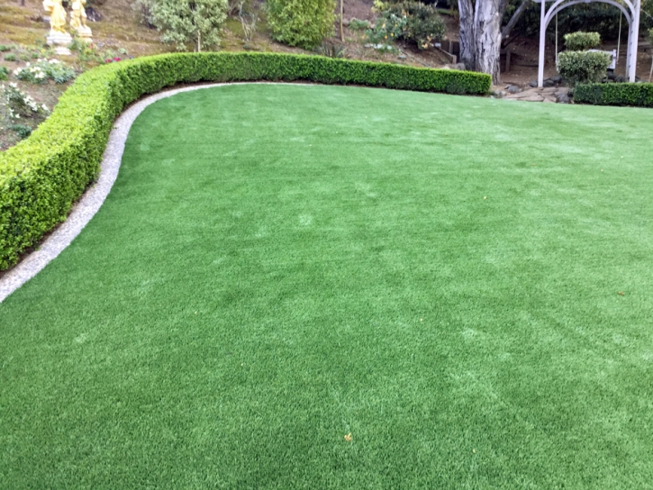 Turf Grass Chaparral, New Mexico Landscaping, Backyards