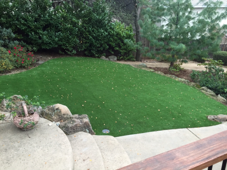 Turf Grass Dora, New Mexico Landscape Ideas, Backyard Ideas