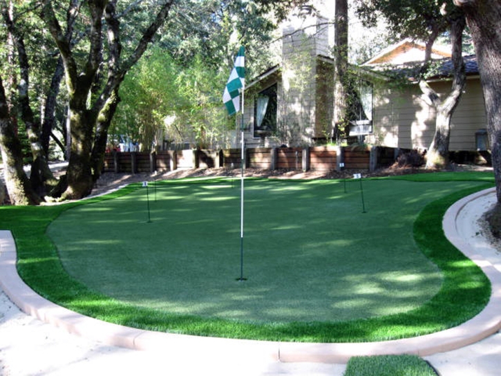 Turf Grass Lake Arthur, New Mexico Landscape Rock, Backyard Design