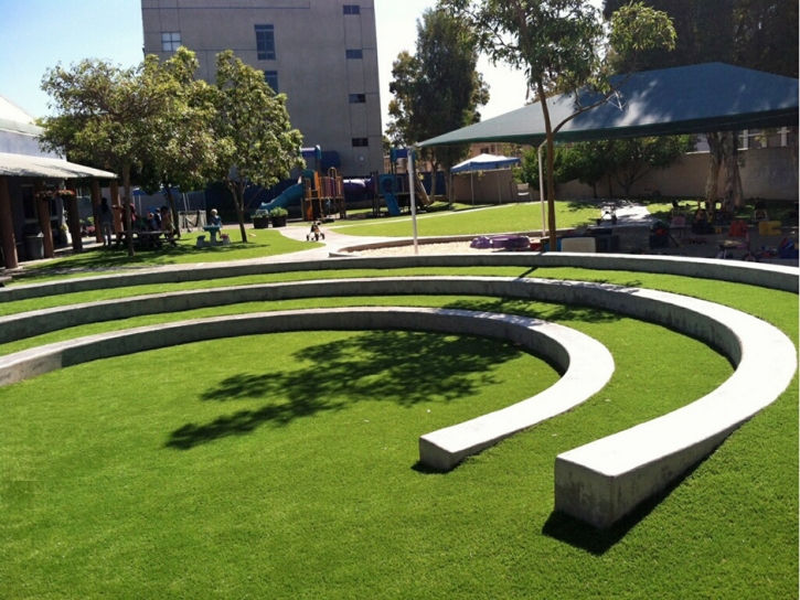 Turf Grass McIntosh, New Mexico Backyard Deck Ideas, Commercial Landscape